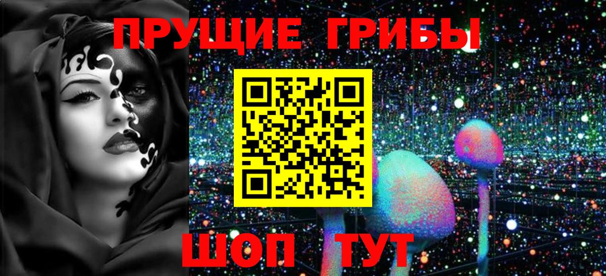 Галлюциногенные грибы Psilocybe  Псилоцибиновые грибы мицелий  Тулун  Вход с VPN 