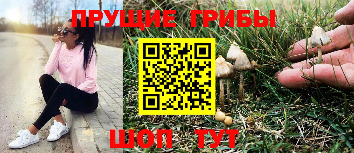 Псилоцибиновые грибы прущие грибы Тулун